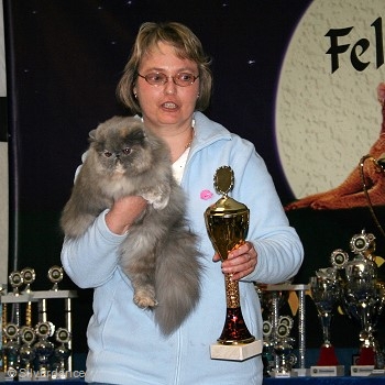 CFA Silver CH/GEC Kikiland Folie B of Silverdance