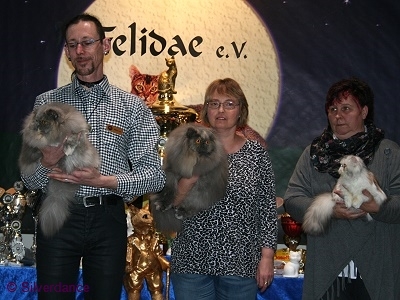 CFA Silver CH/GEC Kikiland Folie B of Silverdance