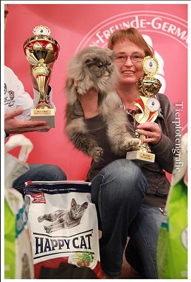 CFA Silver CH/GEC Kikiland Folie B of Silverdance