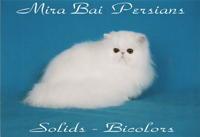 Mira Bai Persians