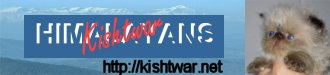 Kishtwar Himalayans