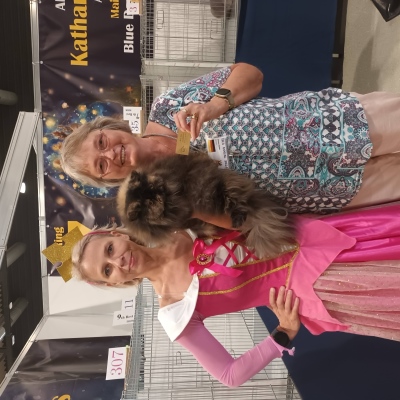 TICA RW QGC SGCA EC Yellicle's Medley of Silverdance