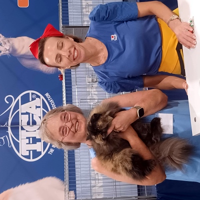 TICA RW QGC SGCA EC Yellicle's Medley of Silverdance