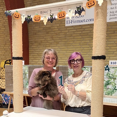 TICA RW QGC SGCA EC Yellicle's Medley of Silverdance