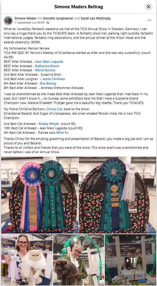 TICA CH Silverdance Bacardi And Sugar