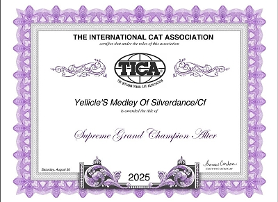 TICA RW QGC SGCA / EC / IP Yellicle's Medley of Silverdance