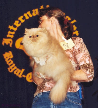 CFA PR By Sullivans Moses of Silverdance