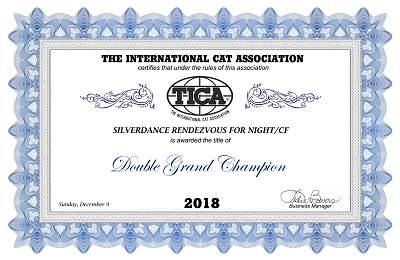 TICA SGC/IC Silverdance Rendezvous For Night