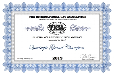 TICA SGC/IC Silverdance Rendezvous For Night