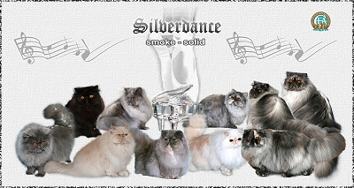 Silverdance Persians