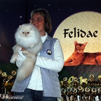 CFA CH/GEC Pele-Mele's Silver Sunshine on Ice of
Silverdance