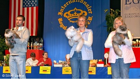 CFA CH/GEC Pele-Mele's Silver Sunshine on Ice of
Silverdance