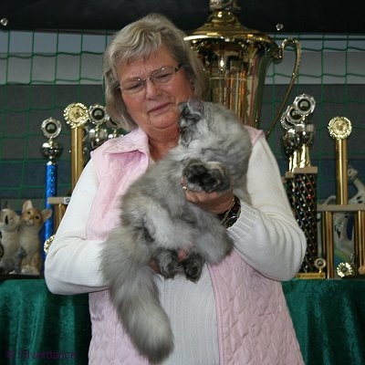 CFA CH & TICA CH/EC Silverdance Sweet Ice Princess