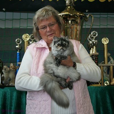 CFA CH & TICA CH/EC Silverdance Sweet Ice Princess