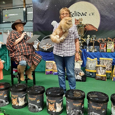 TICA RW SGC/GEC Silverdance Ice Teddy Bear