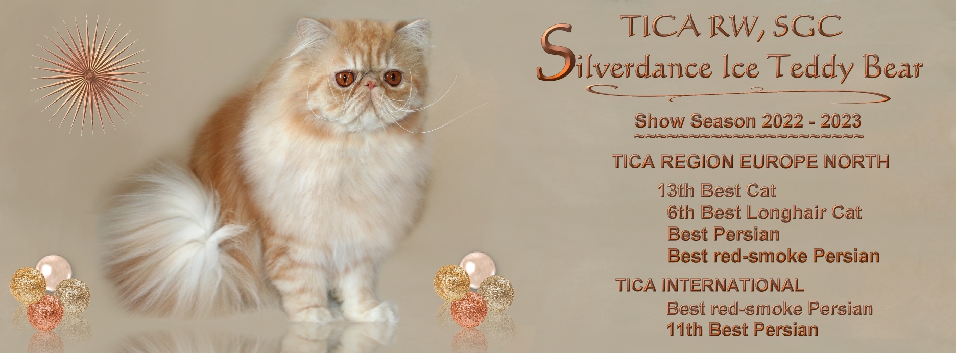 TICA RW, SGC/IC Silverdance Ice Teddy Bear