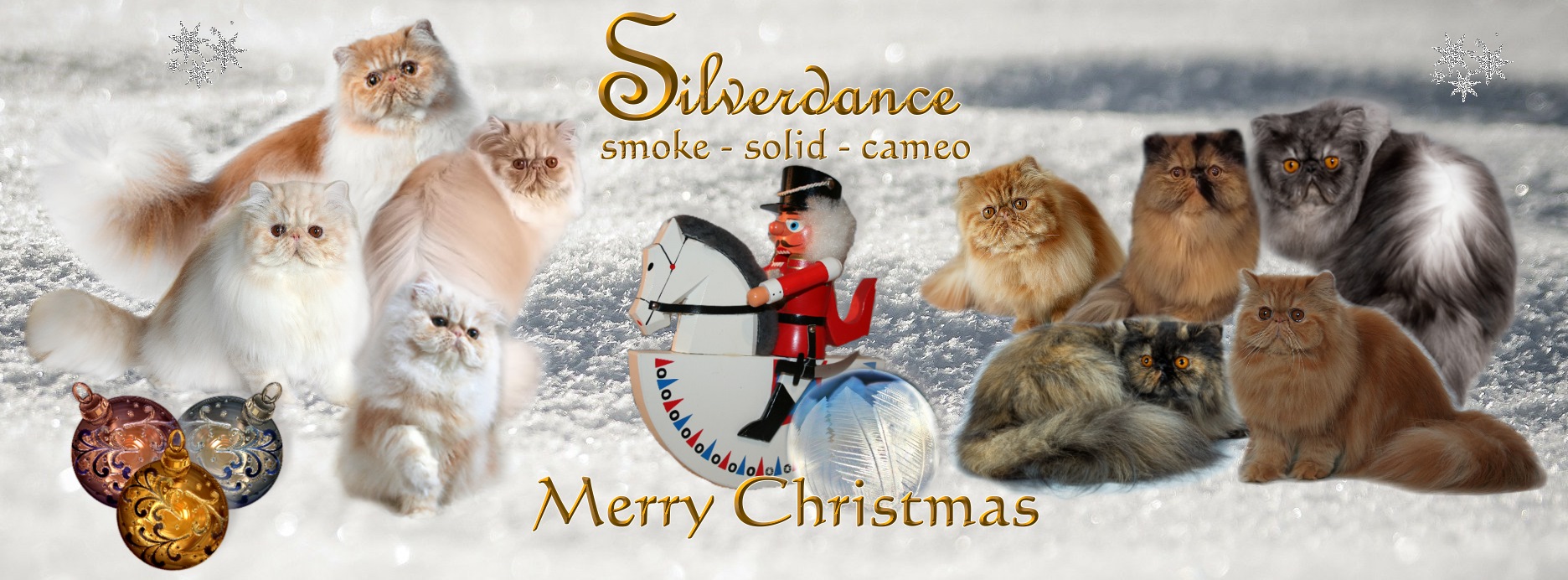 Silverdance Persians - CFA & TICA cattery for smoke persians & solid persians & cameo persians