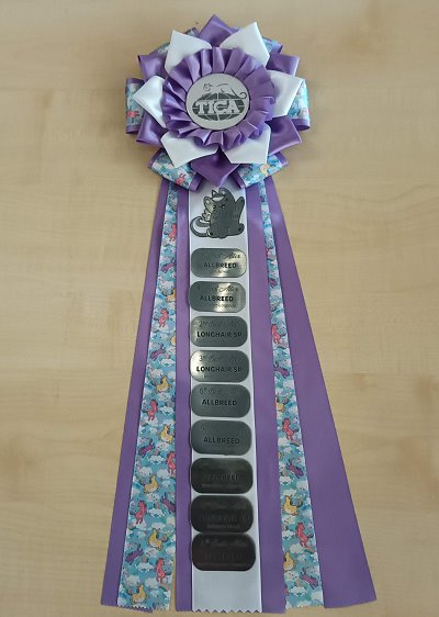 TICA SGCA / JuCH Silverdance Whiskey On Ice