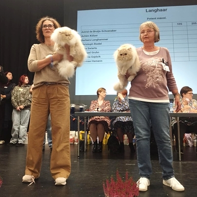 TICA RW QGC / EC Silverdance Xavier On Ice