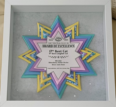 TICA RW QGC / EC Silverdance Xavier On Ice