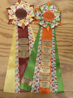 TICA Show Silverdance Persians